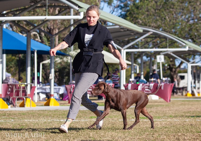 639163266350155893_fc9ebff2-25bf-4ef4-a720-907f05b6edb5.jpg