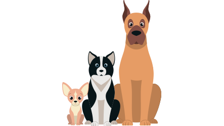 What size dog would you like?