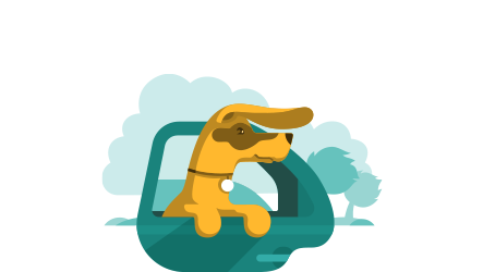 How much will your dog be involved in your social activities?