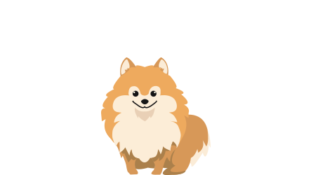 What type of coat would you like your dog to have?