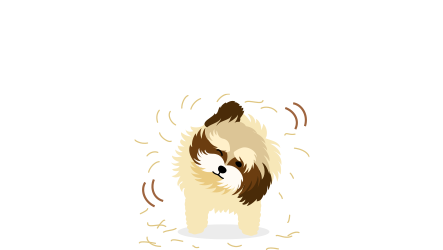 How important is low shedding to you?