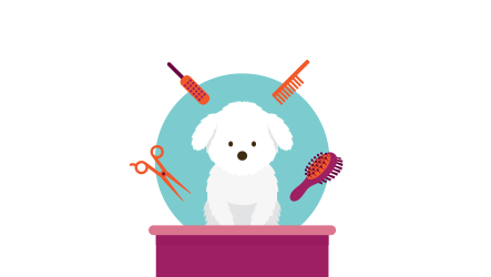 How much time can you dedicate to brushing and grooming your dog?