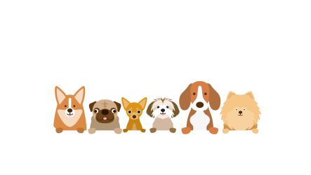 How much money are you willing to spend each week to feed your dog?