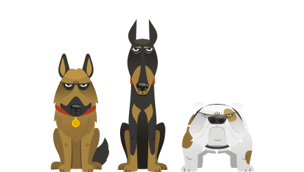 What are the main reasons that you are choosing to get a dog?